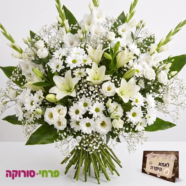 לבן לבן ולבן.