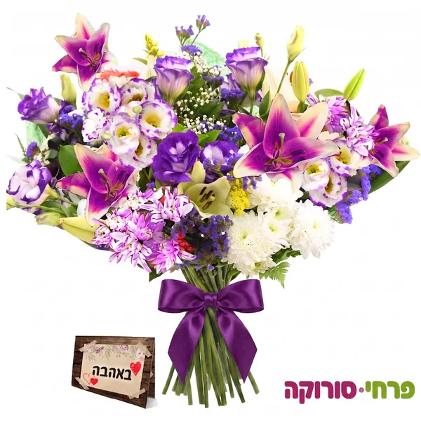קסם הארגמן
