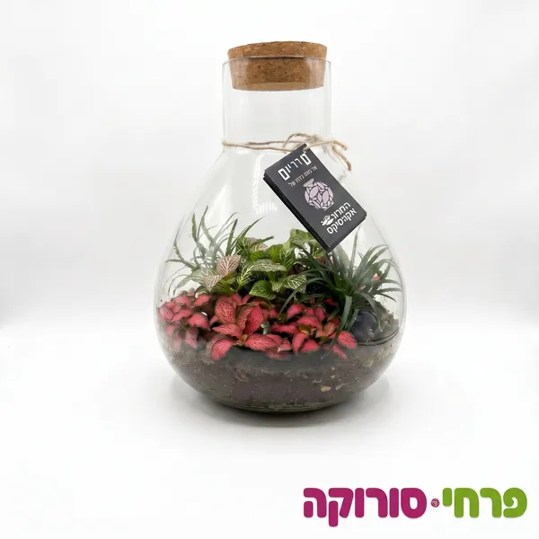 טרריום