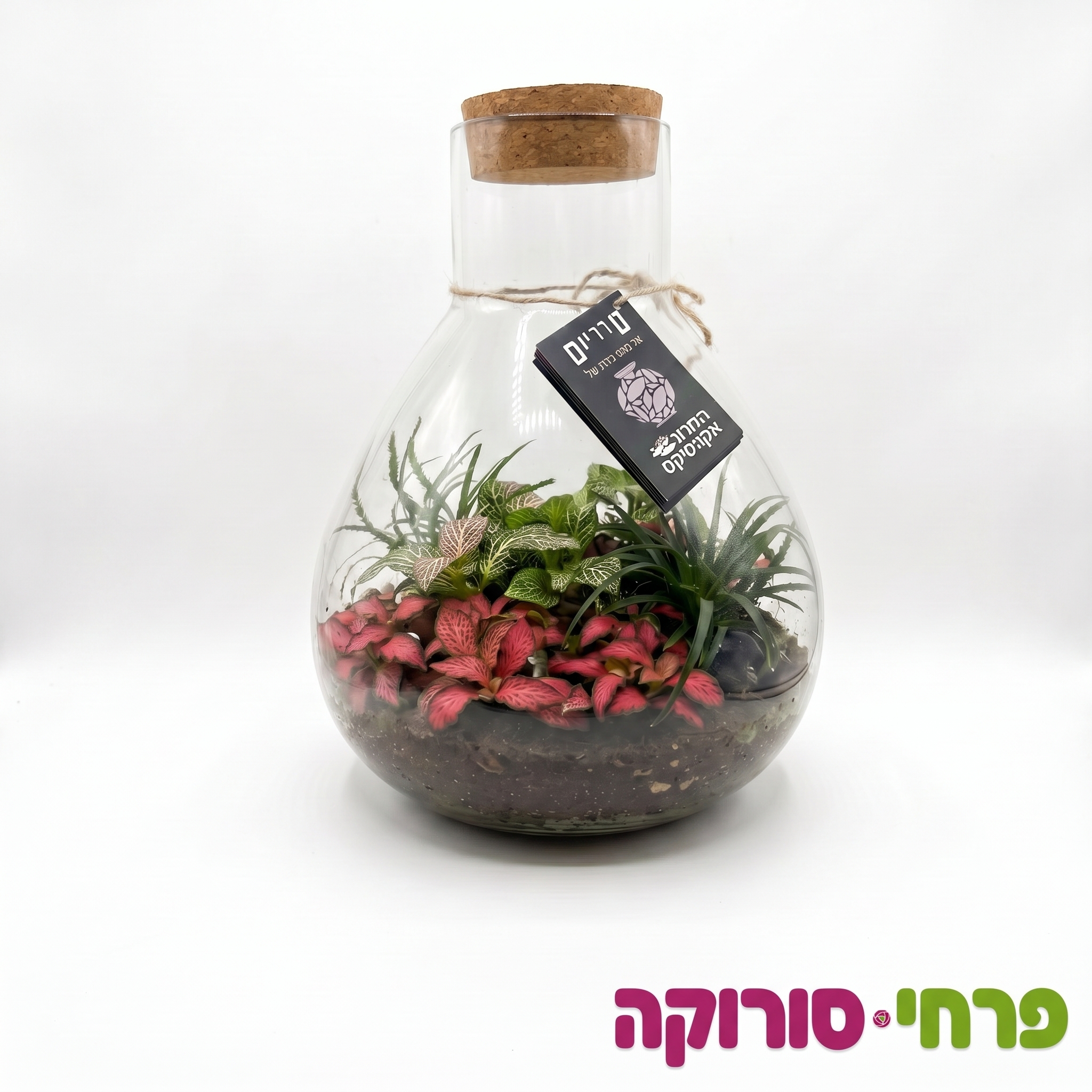 טרריום