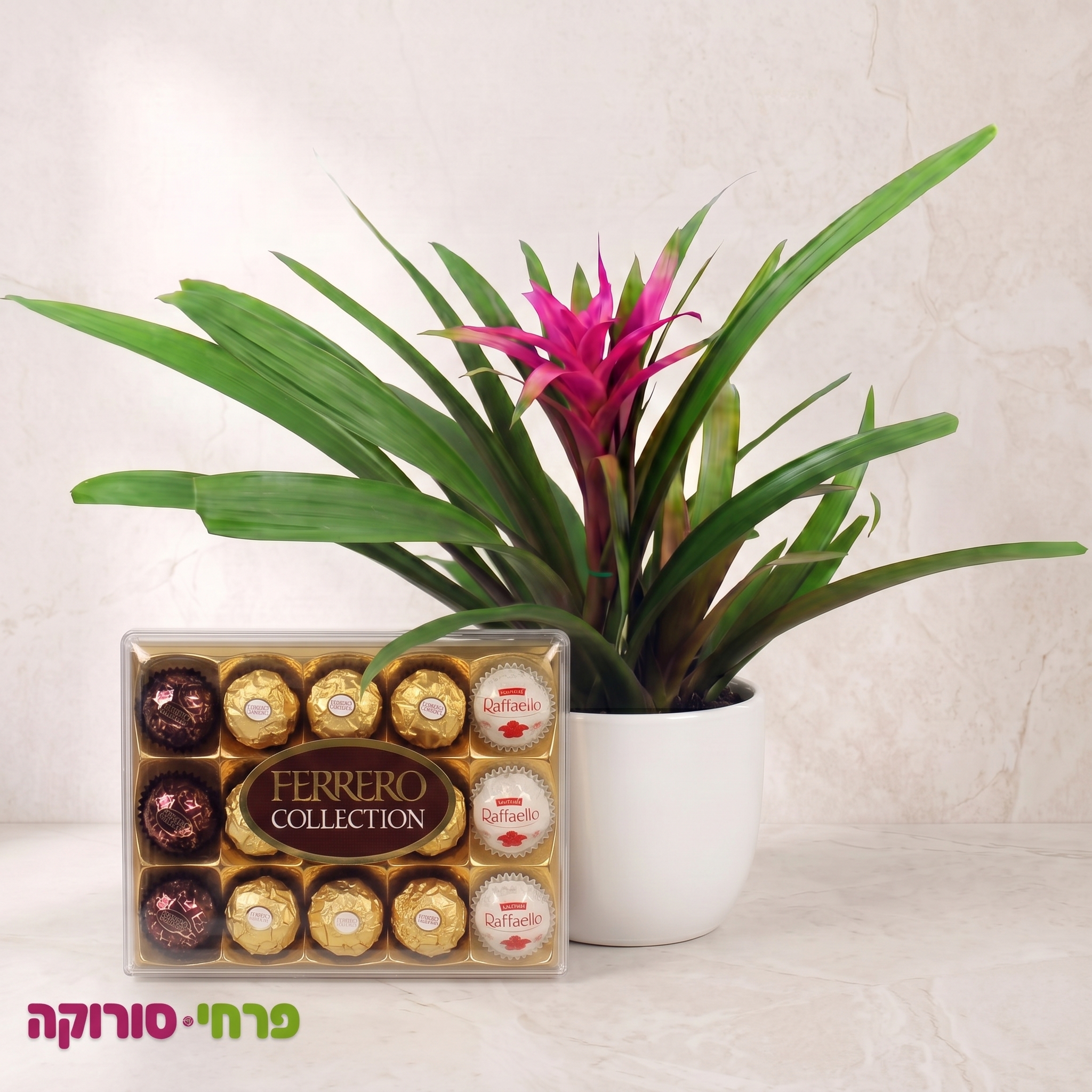 אקזוטיקה מתוקה