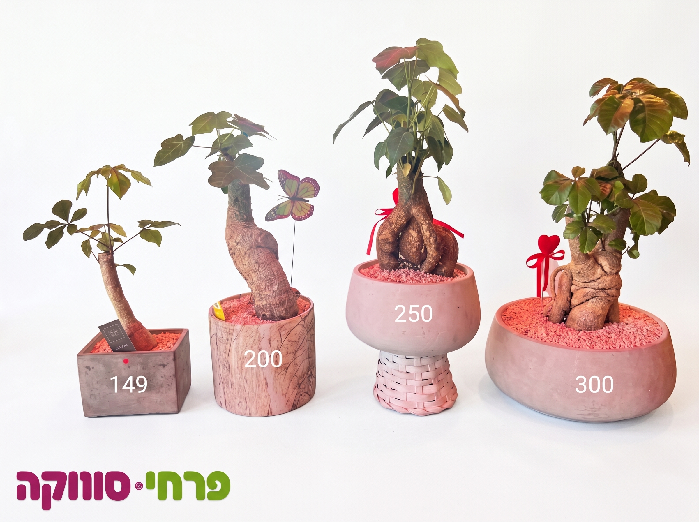 עץ האהבה